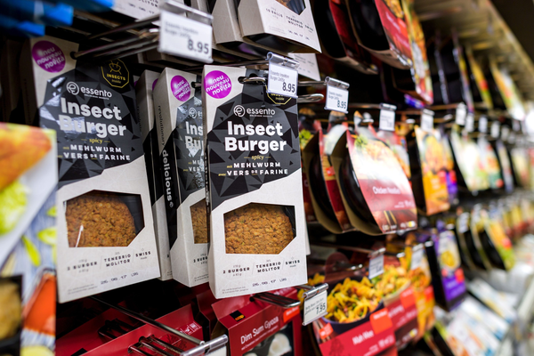 Europe Approves Insects in Food: Mealworm Powder Now Allowed in Bread and Cakes