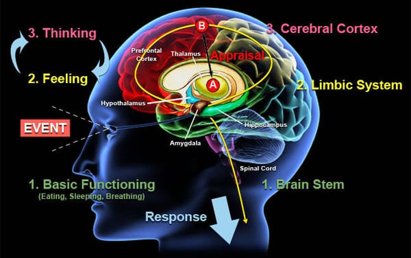 9 Scientific Studies Suggesting Consciousness May Influence Physical Reality